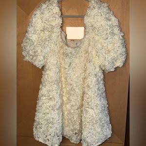 ASOS edition 3D floral mini dress